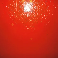 ******** - The Drink LP Vinyl Record