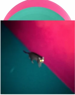 !!! (Chk Chk Chk) - Wallop 2xLP Vinyl Record (Pink & Green Coloured Vinyl)