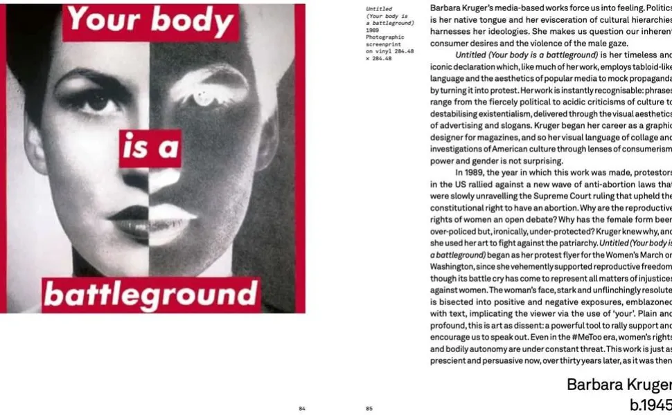 A Brief History of Protest Art by Aindrea Emelife Paperback Book