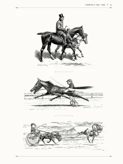 A Cockeyed Menagerie: The Drawings of T. S. Sullivant Hardcover Book