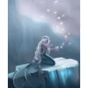 Adrianna Vanderstelt -Winter Stars Fine Art Print by Adrianna Vanderstelt