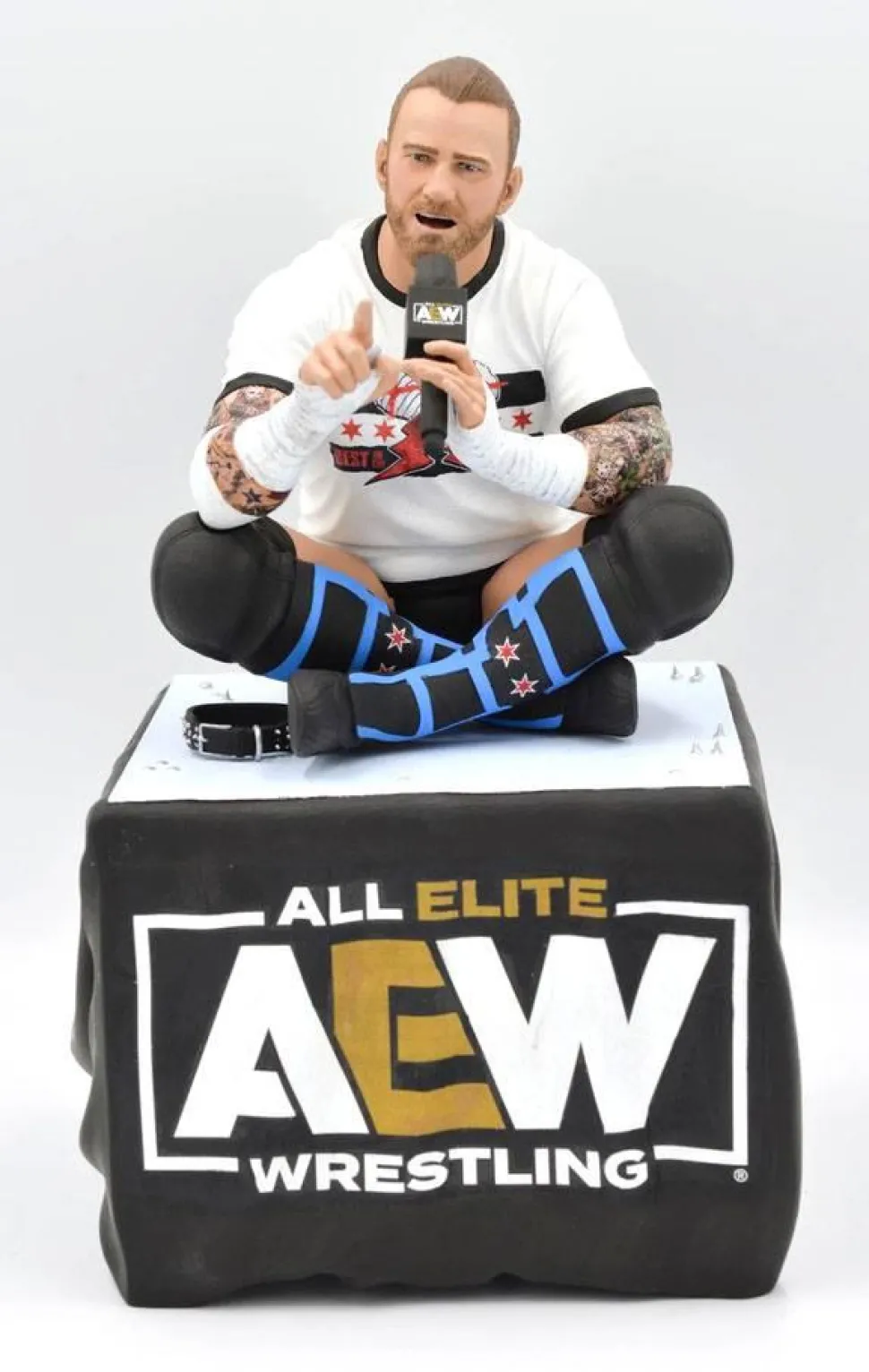AEW: All Elite Wrestling - CM Punk Gallery 10” PVC Diorama Statue