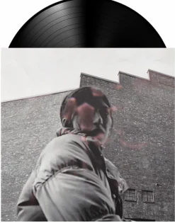 Aldous Harding - Warm Chris LP Vinyl Record