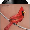 Alexisonfire - Old Crows / Young Cardinals 2xLP Vinyl Record