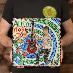 Alien Nosejob - Stained Glass LP Vinyl Record