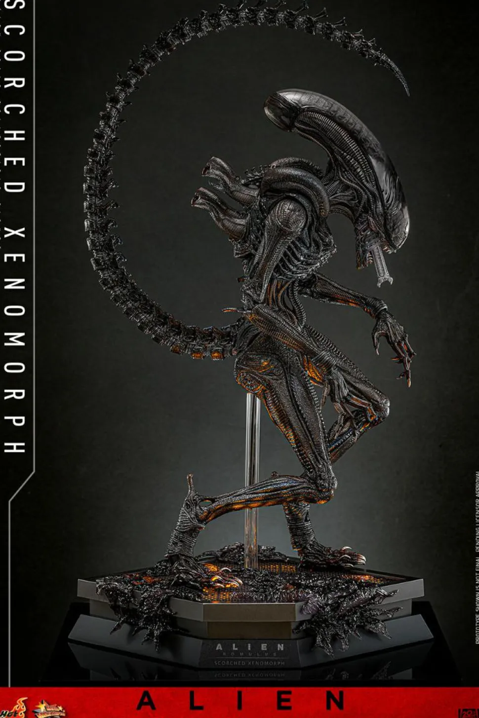 Alien: Romulus (2024) - Scorched Xenomorph 1/6th Scale Hot Toys Action Figure