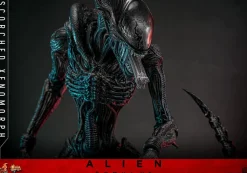 Alien: Romulus (2024) - Scorched Xenomorph 1/6th Scale Hot Toys Action Figure
