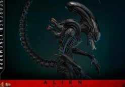 Alien: Romulus (2024) - Scorched Xenomorph 1/6th Scale Hot Toys Action Figure