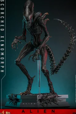 Alien: Romulus (2024) - Scorched Xenomorph 1/6th Scale Hot Toys Action Figure
