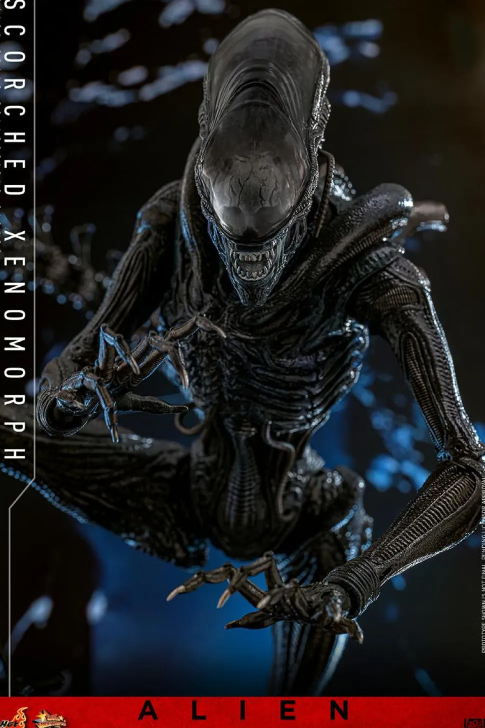Alien: Romulus (2024) - Scorched Xenomorph 1/6th Scale Hot Toys Action Figure