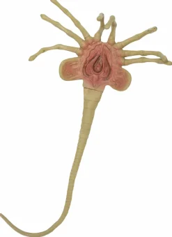 Aliens - Facehugger 1:1 Scale Life-Size Foam Replica