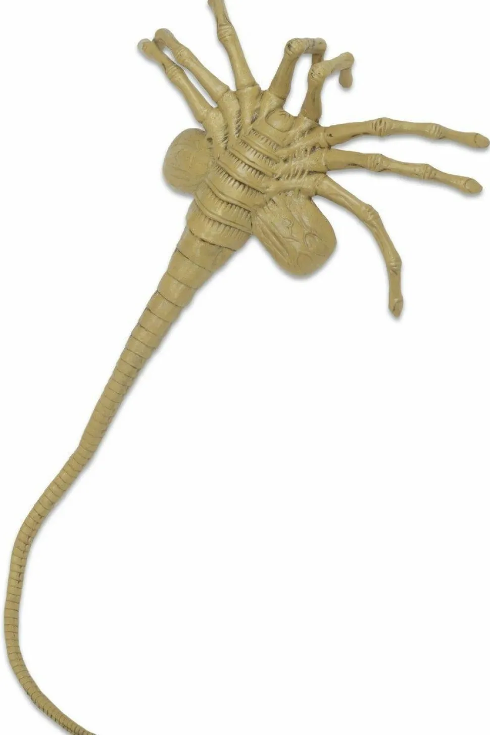 Aliens - Facehugger 1:1 Scale Life-Size Foam Replica