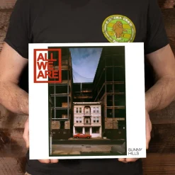 All We Are - Sunny Hills Deluxe LP Vinyl Record