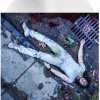Andrew W.K. - God Is Partying LP Vinyl Record (White Vinyl)
