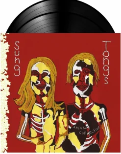 Animal Collective - Sung Tongs 2xLP Vinyl Record