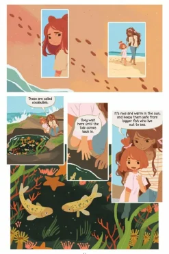 Aquicorn Cove by Katie O'Neill Paperback Book