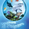Ark Nova - Marine Worlds Board Game Expansion