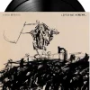 Avenged Sevenfold - Life Is But A Dream... 2xLP Vinyl Record