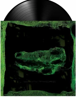 Avey Tare - Down There LP Vinyl Record