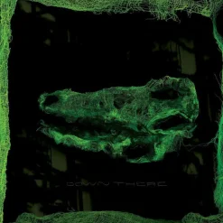 Avey Tare - Down There LP Vinyl Record