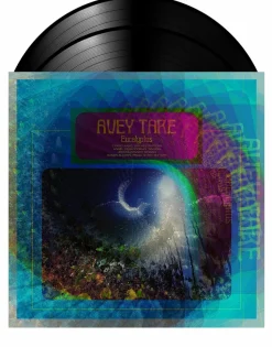 Avey Tare - Eucalyptus 2xLP Vinyl Record