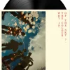 Bananagun - Why Is The Colour Of The Sky? LP Vinyl Record