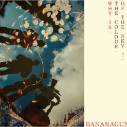 Bananagun - Why Is The Colour Of The Sky? LP Vinyl Record