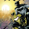 Batman - Batman and the Signal Trade Paperback