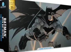 Batman - Batman with Bat-Glider (The Thirteenth Hour) DC Multiverse Gold Label 7