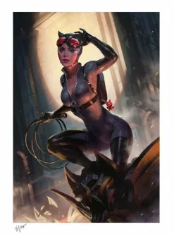 Batman - Catwoman Premium Art Print by Heon-hwa Choe