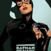 Batman - One Bad Day: Catwoman Hardcover Book