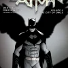 Batman - Volume 02 The City of Owls (The New 52) Trade Paperback Book