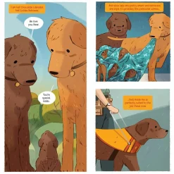 Bear by Ben Queen Hardcover Book