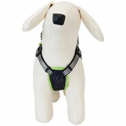 Beetlejuice - Cosplay Mini Backpack Dog Harness (Large)