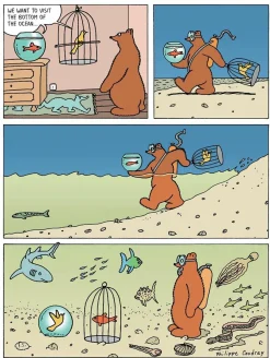 Bigby Bear - Book 03 The Explorer Hardcover Book