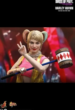 Birds of Prey - Harley Quinn 1/6th Scale Hot Toys Action Figure
