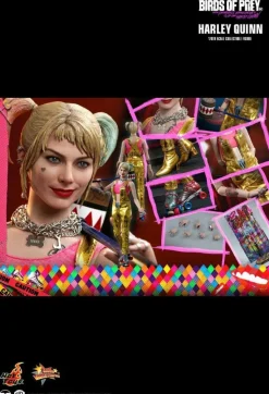 Birds of Prey - Harley Quinn 1/6th Scale Hot Toys Action Figure