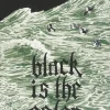 Black is the Color by Julia Gfrörer Paperback Book