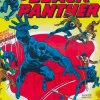 Black Panther - The Early Marvel Years Omnibus Volume 01 Hardcover Book (DM Variant Cover)