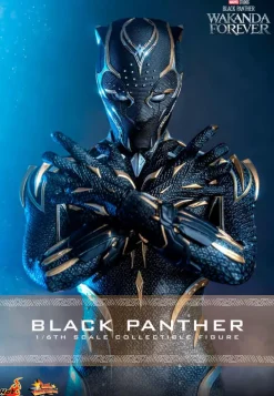 Black Panther 2: Wakanda Forever - Black Panther 1/6th Scale Action Figure