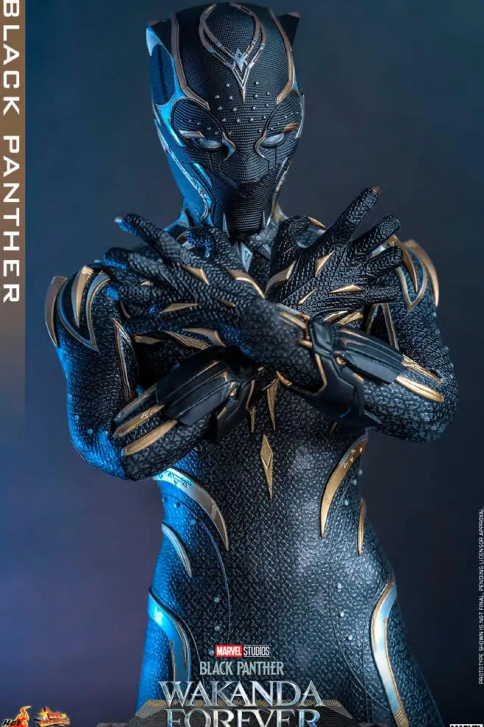 Black Panther 2: Wakanda Forever - Black Panther 1/6th Scale Action Figure