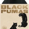 Black Pumas - Black Pumas Collector's Edition Deluxe 7” Single Vinyl Record Box Set (2022 Record Store Day Exclusive)