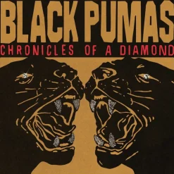 Black Pumas - Chronicles of a Diamond LP Vinyl Record (Transparent Red Coloured Vinyl)