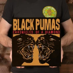 Black Pumas - Chronicles of a Diamond LP Vinyl Record (Transparent Red Coloured Vinyl)