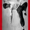 Bruce Lee - DGK x Bruce Lee Flying Man 8.25" Skateboard Deck (Deck Only)