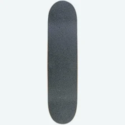 Bruce Lee - DGK x Bruce Lee Like Echo 8.25” Skateboard Deck (Complete Deck)