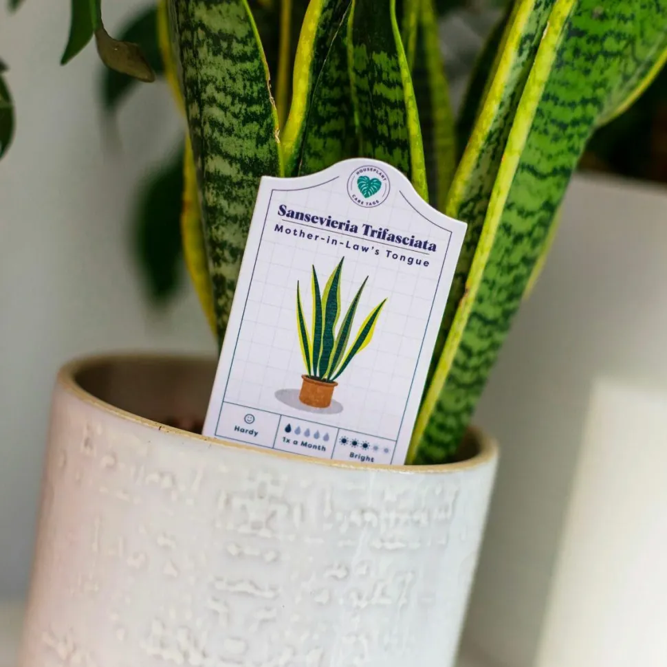 Bubblegum Stuff - Houseplant Care Tags 30-Pack