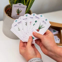 Bubblegum Stuff - Houseplant Care Tags 30-Pack