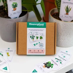 Bubblegum Stuff - Houseplant Care Tags 30-Pack