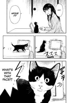 Cat + Gamer - Volume 02 Manga Paperback Book